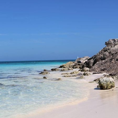Hermoso Studio Con Alberca Zona Hoteles Cancun كانكون المظهر الخارجي الصورة